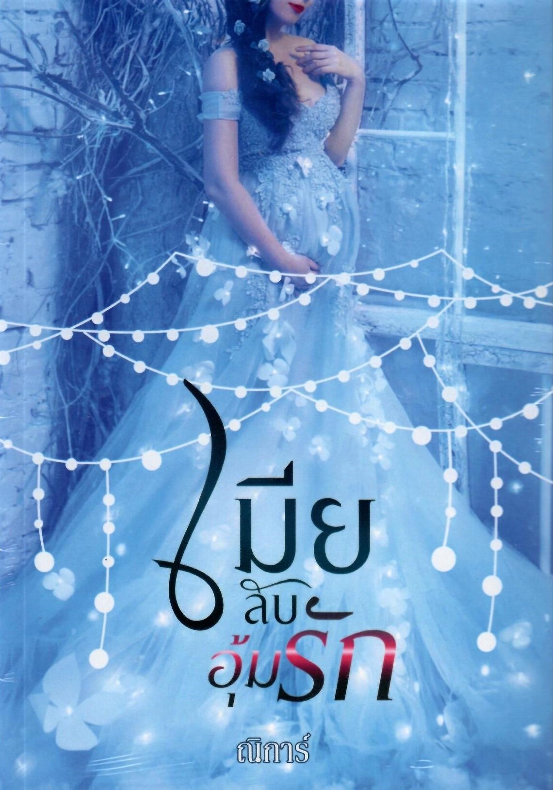 เมียลับอุ้มรัก (NC25+) / ณิการ์ ยักษ์ (ทำมือ ใหม่ ฟรีปกพลาสติกใส )