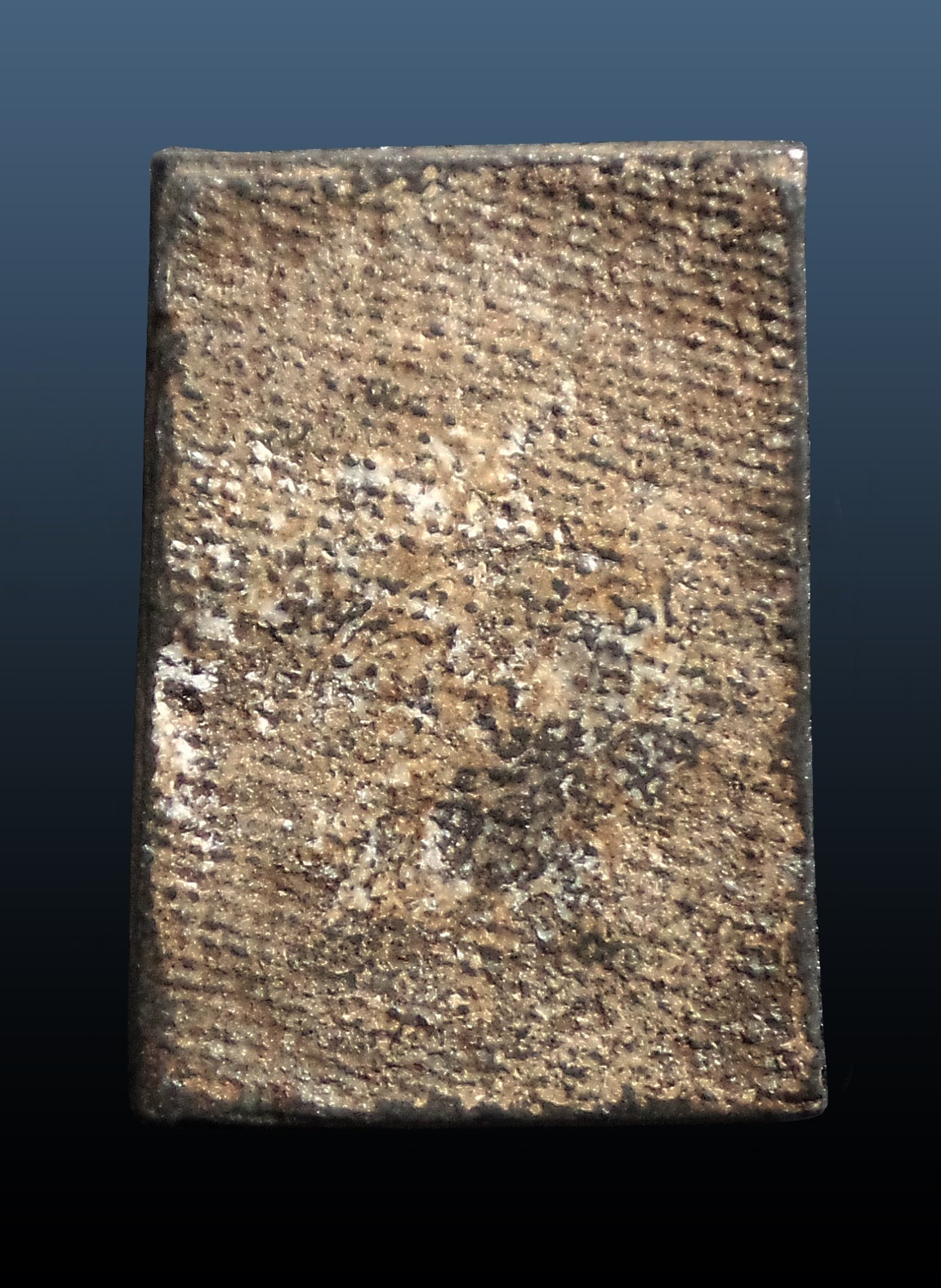 พระหลวงปู่ศุข ปากคลองมะขามเฒ่า ออกวัดหัวหาด