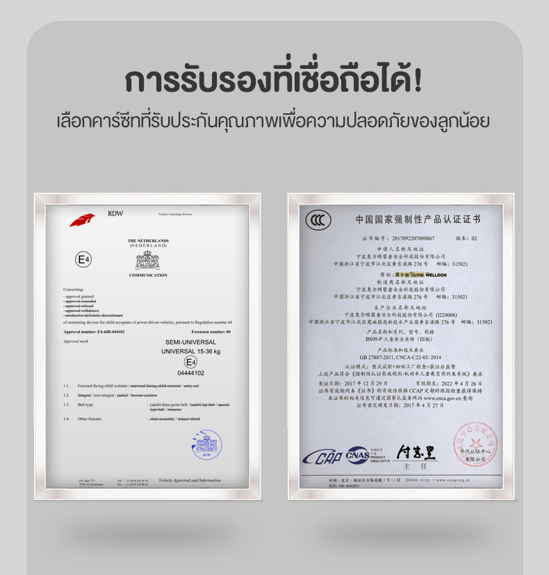 Welldon Booster รุ่น Skyline (สำหรับ 3 - 12 ปี)