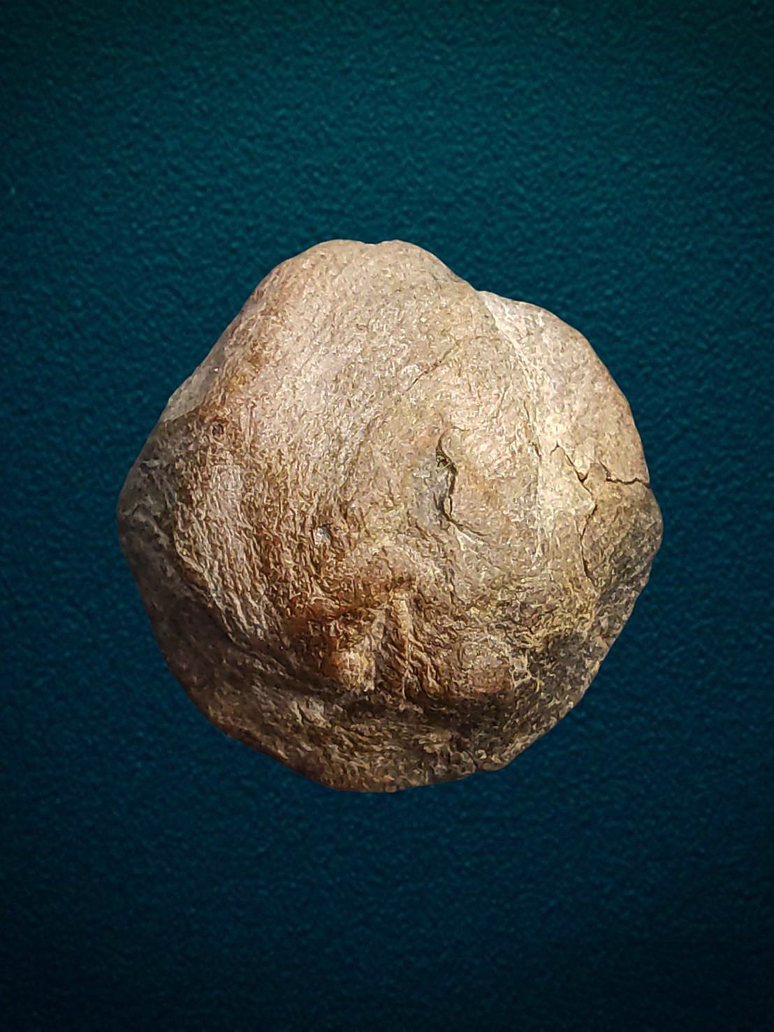 พระกำแพงงบน้ำอ้อย กรุวัดพระบรมธาตุ เนื้อดินผสมว่าน