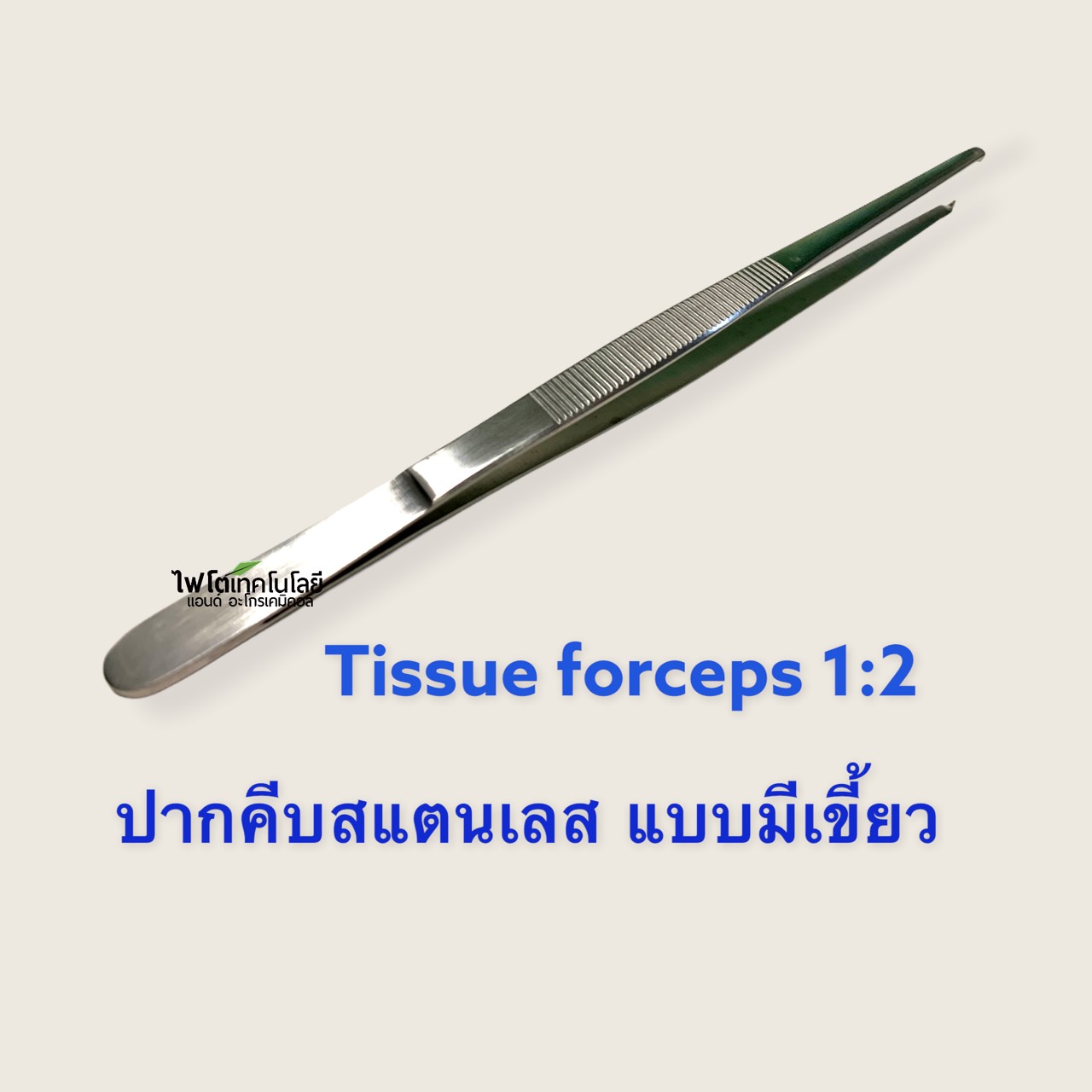 Tissue Forceps ปากคีบสแตนเลส แบบมีเขี้ยว ยี่ห้อ Golrah ความยาว 20 ซม.