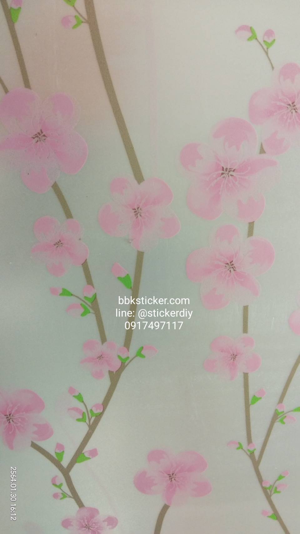 (กว้าง90cm.xยาว173cm.) สติ๊กเกอร์ฝ้าติดกระจก แบบมีกาวในตัว ซากุระ GS070B
