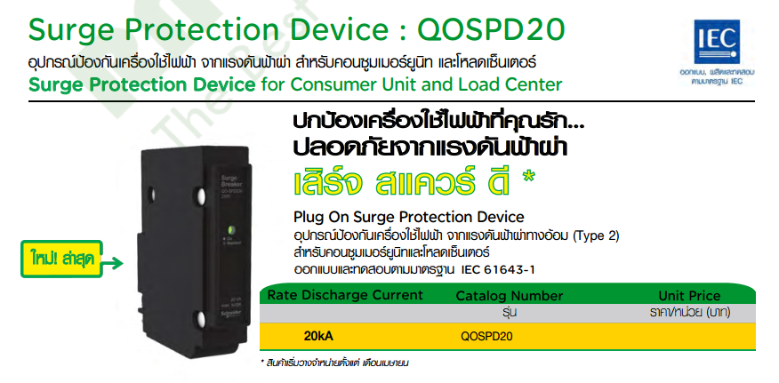 Surge Protection (กันฟ้าผ่า)