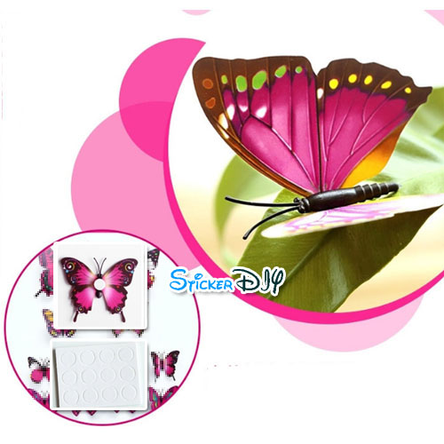 PVC Wall sticker สติ๊กเกอร์ติดผนัง 3D butterfly สไตล์D (กว้างfree.xสูงfree.)