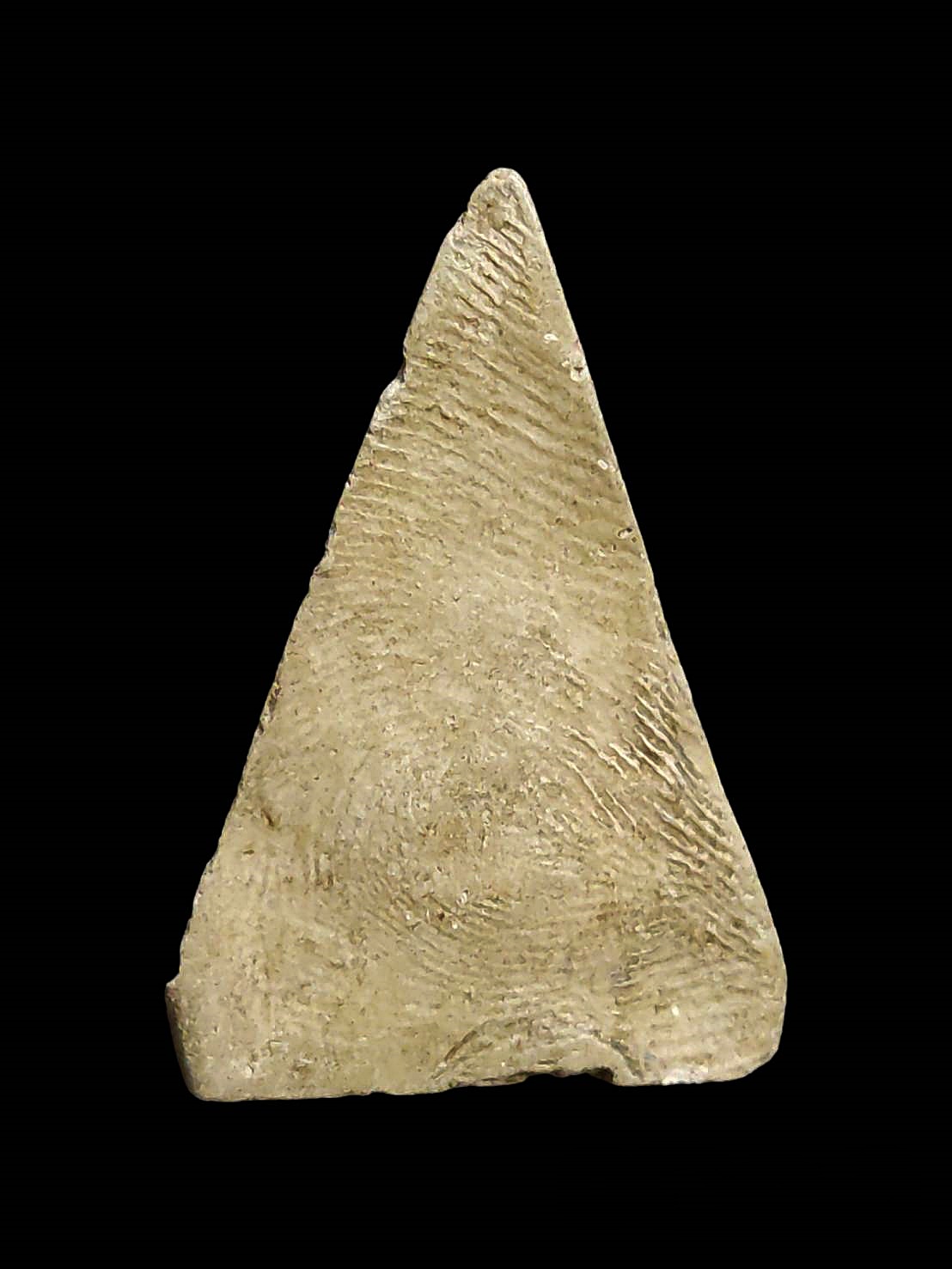 พระอมพิมพ์พระนางพญาใหญ่ หลวงพ่อหอม วัดบางเตยกลาง(วัดเปิ้ง) จ.ปทุมธานี ปี2484