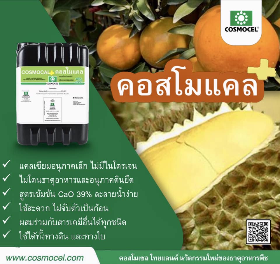 Cosmocal คอสโมแคล แคลเซียม แอล-อะมิโนคีเลต 39%CaO (Cosmocel) บรรจุ 1000 ml