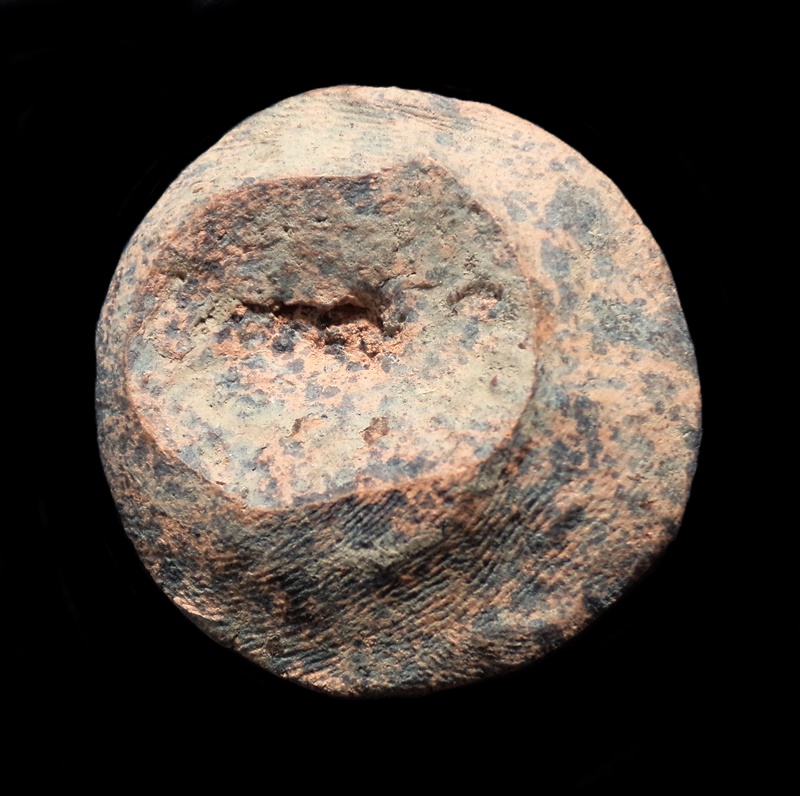 ดอกพระธาตุ กรุมหาวัน จ.ลำพูน