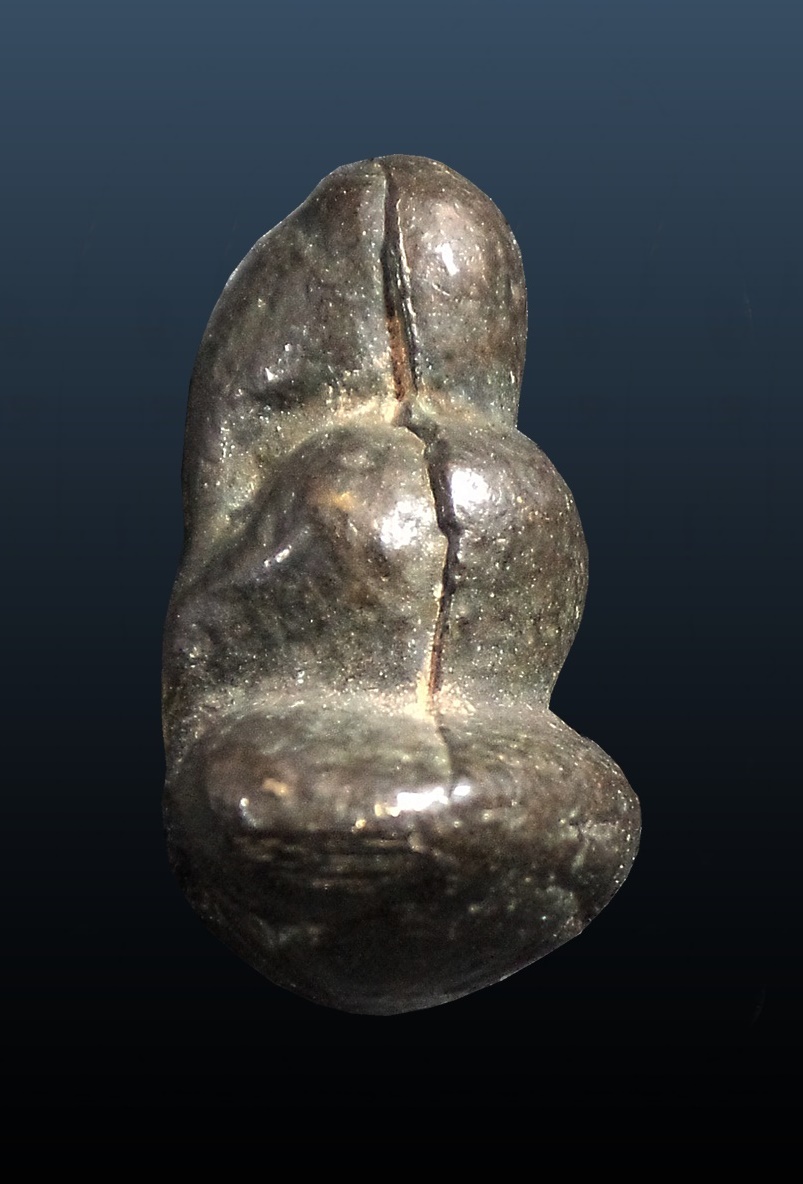 พระปิดตาหลวงพ่อปล้อง วัดหลุมดิน ราชบุรี