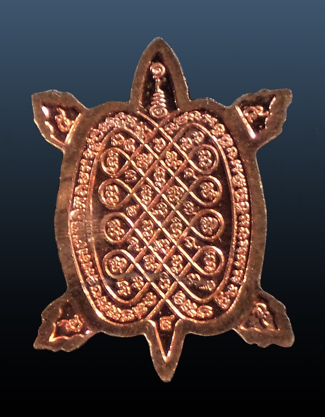 เหรียญพญาเต่าจิ๋ว หลวงปู่แผ้ว วัดรางหมัน นครปฐม (2)