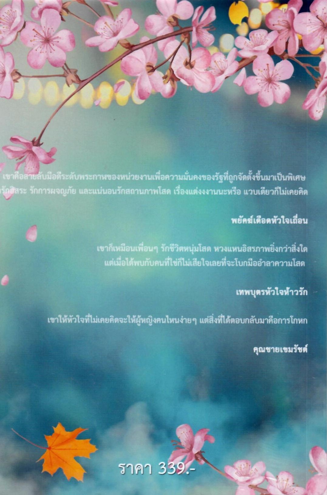 ซีรีส์ เทพบุตรสะดุดรัก 2 (3 เรื่องในเล่มเดียว) (NC25+) / พันแสงจันทร์ ลิลลี่ โจนส์( ทำมือ ใหม่.แถมฟรีปกพลาสติกใส.)