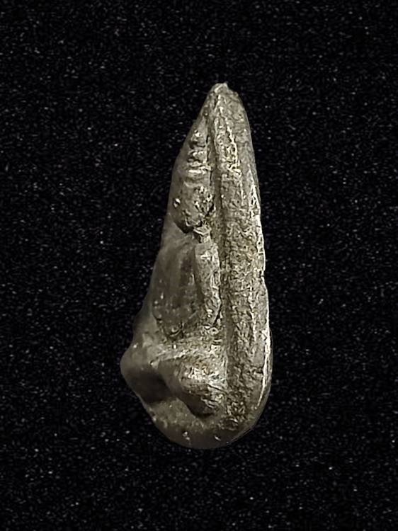 พระกลีบบัวหลวงปู่บุญ เนื้อขี้นกเขาเปล้า วัดกลางบางแก้ว จ.นครปฐม