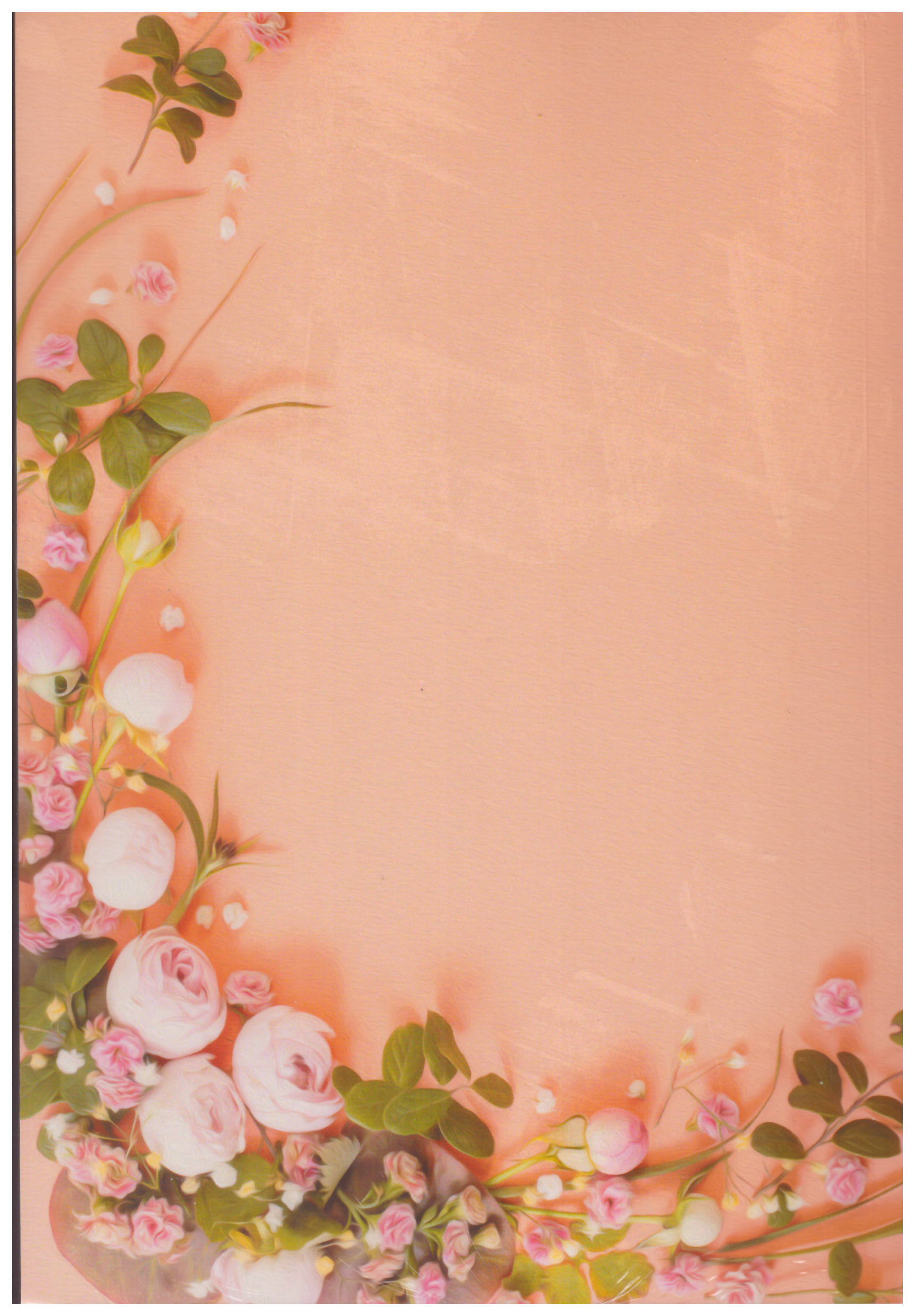 กลชลวัส (หนูพันช์ & พี่ชล) (NC25+) / ดากานดา (อัคนียา) (ทำมือ – ใหม่ แถมฟรีปกพลาสติกใส)