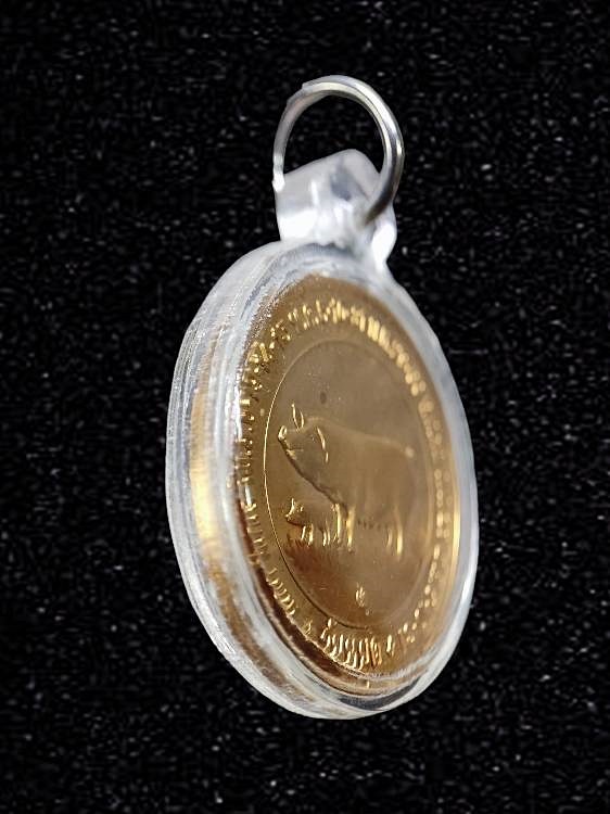 เหรียญหมู เหรียญวันหยุด วันอาทิตย์ ประจำปี2550