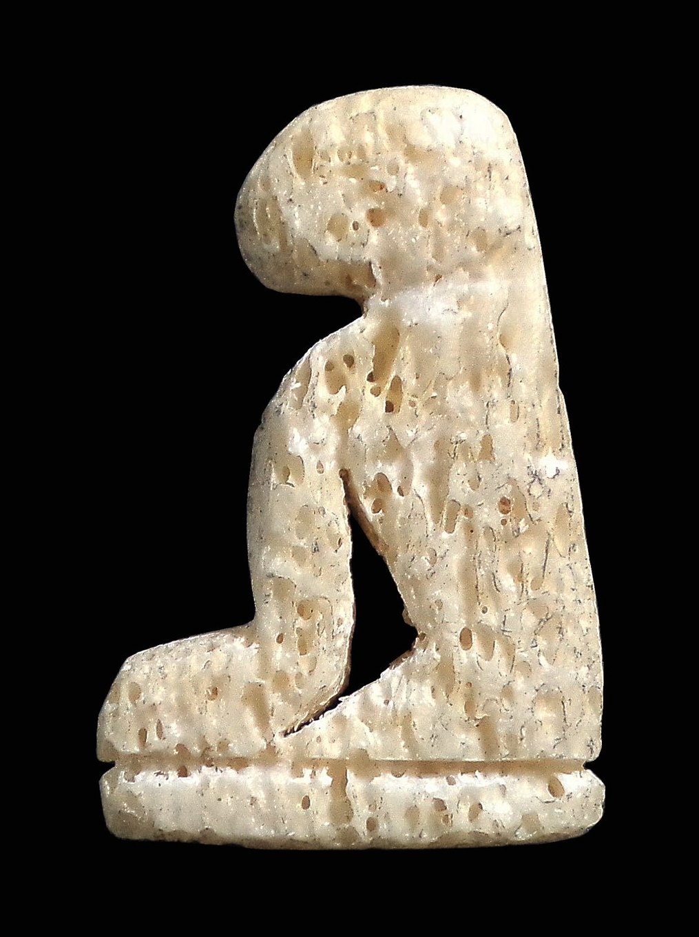 เสือ กรามช้างน้ำแกะ ไม่ทราบที่