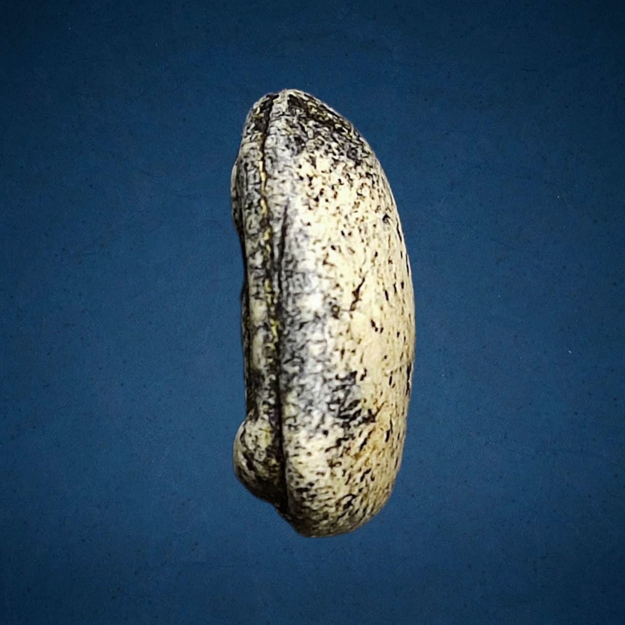 พระกรุวัดอัมพวา พิมพ์วัดพลับ กทม.