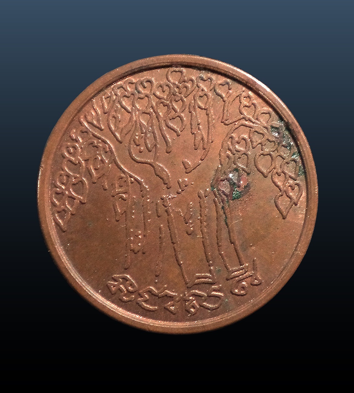 เหรียญ ต้นโพธิ์ นะชาลีติ หลังเรียบ มีจาร