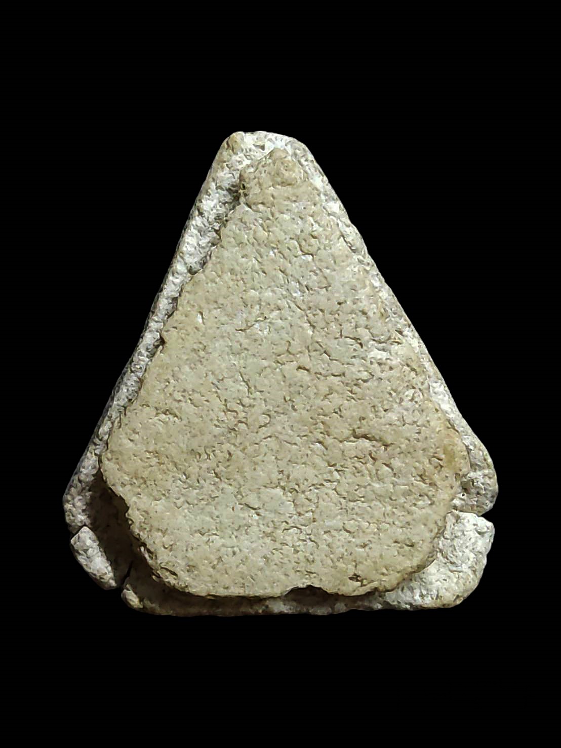 พระโพธิจักรใบโพธิ์ เนื้อผงเกษร หลวงพ่อลี วัดอโศการาม จ.สมุทรปราการ ปี2500