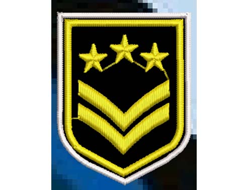 ARMY BADAGES