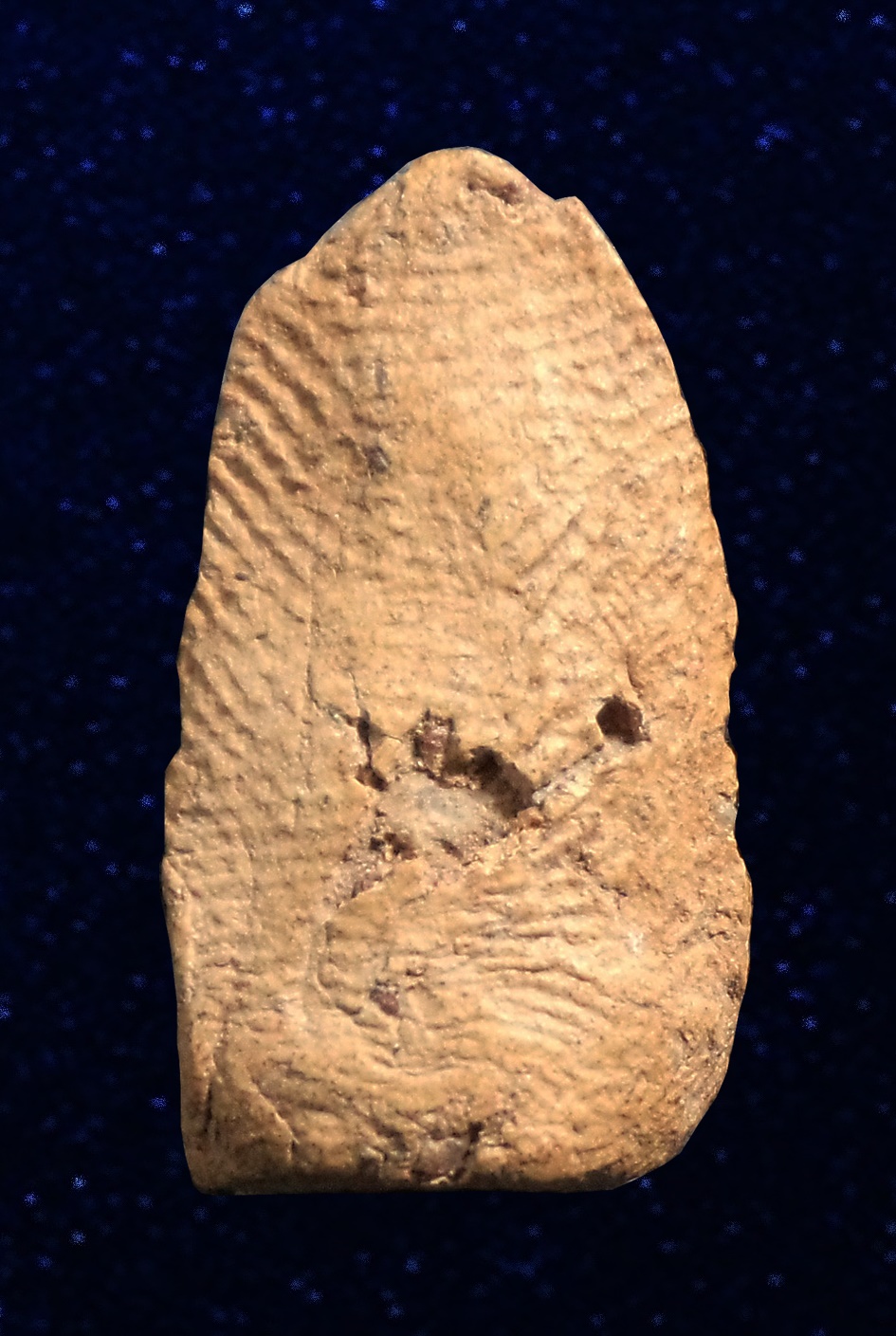 พระรอดแสงตา กรุเเท่นเเก้ว วัดมหาวัน ลำพูน