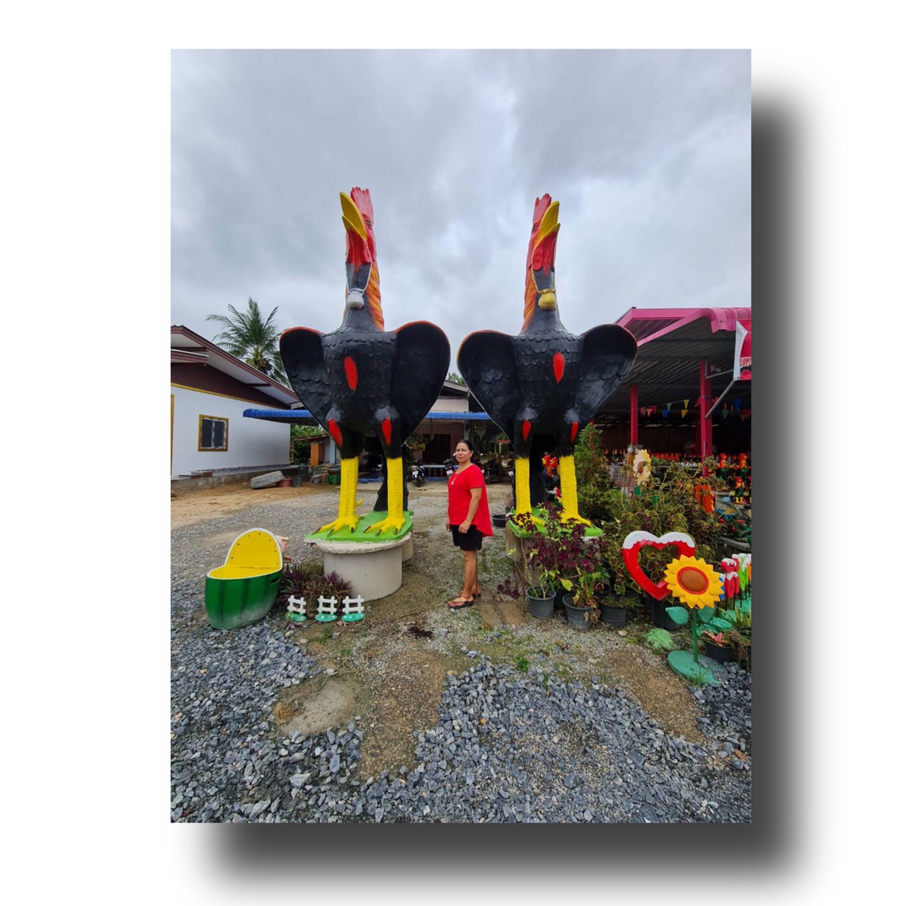 รูปปั้นไก่ชนแก้บนไซต์ยักษ์ขนาด4เมตร