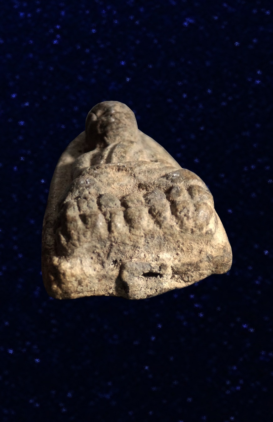 หลวงปู่ทวด เนื้อว่าน วัดช้างให้ ปัตตานี ปี2497 พิมพ์ใหญ่