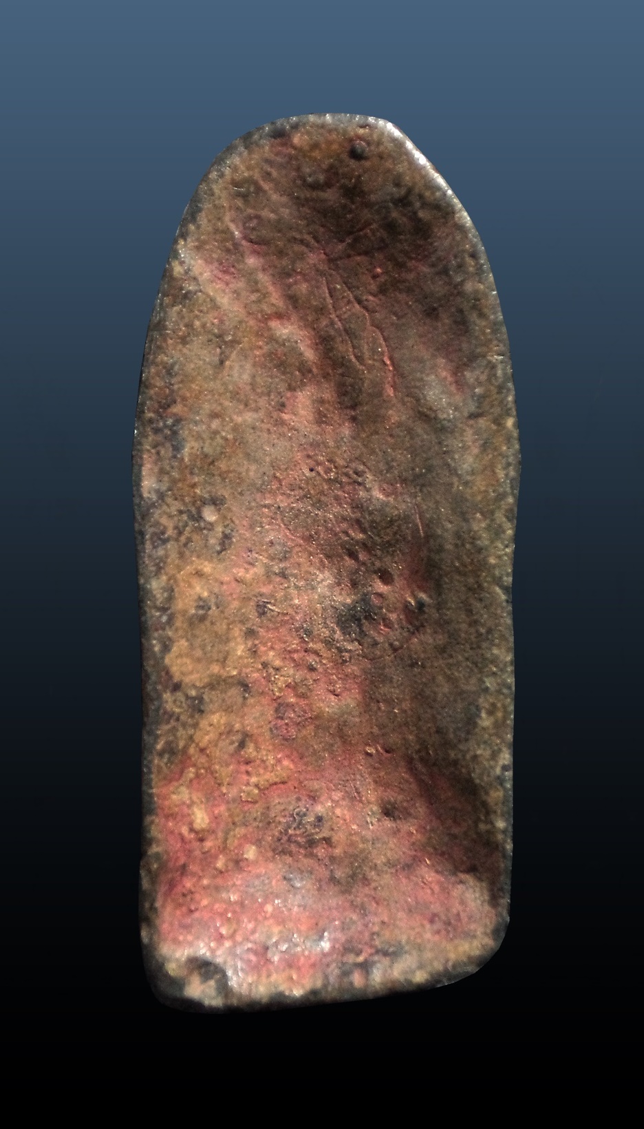 พระนาคปรก เนื้อชิน