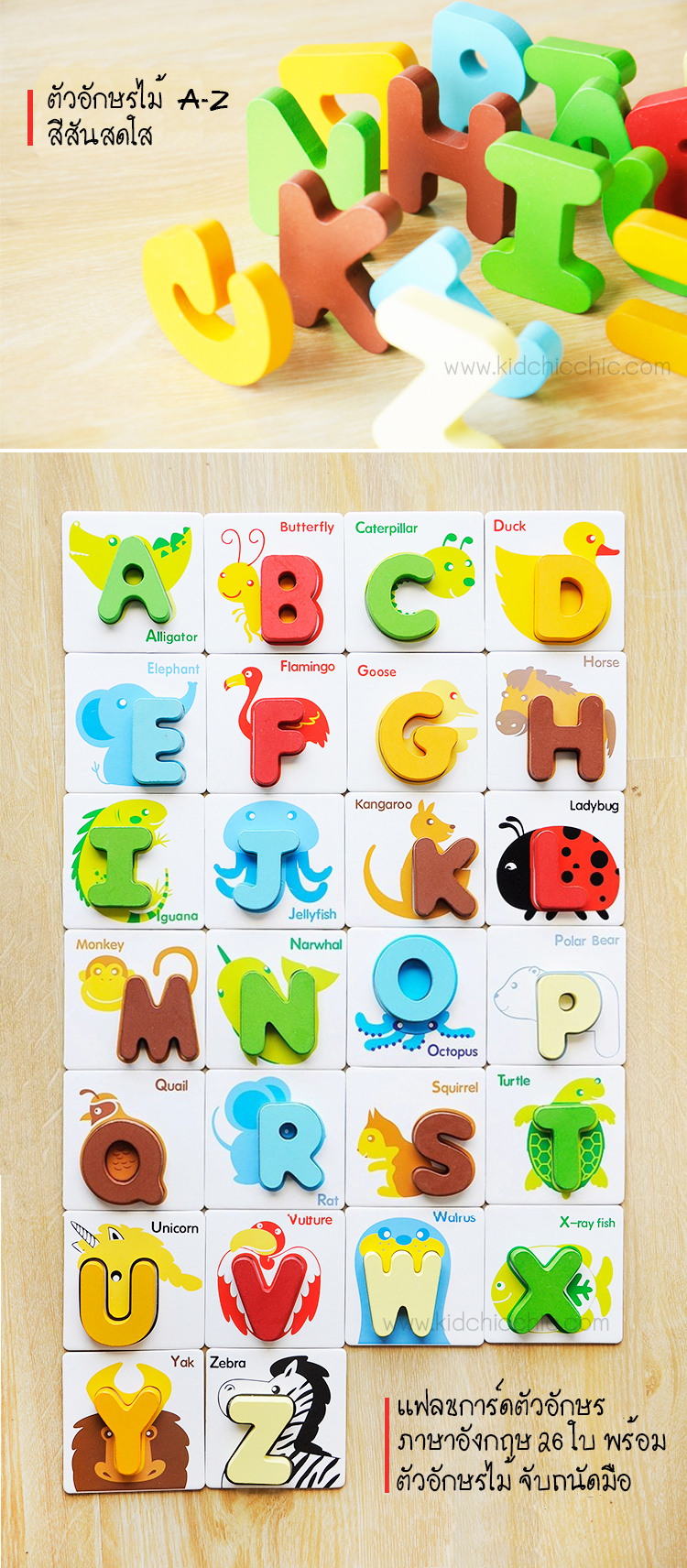 บัตรภาพและตัวอักษาภาษาอังกฤษ ,แฟลชการ์ด acb ,แฟลชการ์ด 3D, flashcard 3D