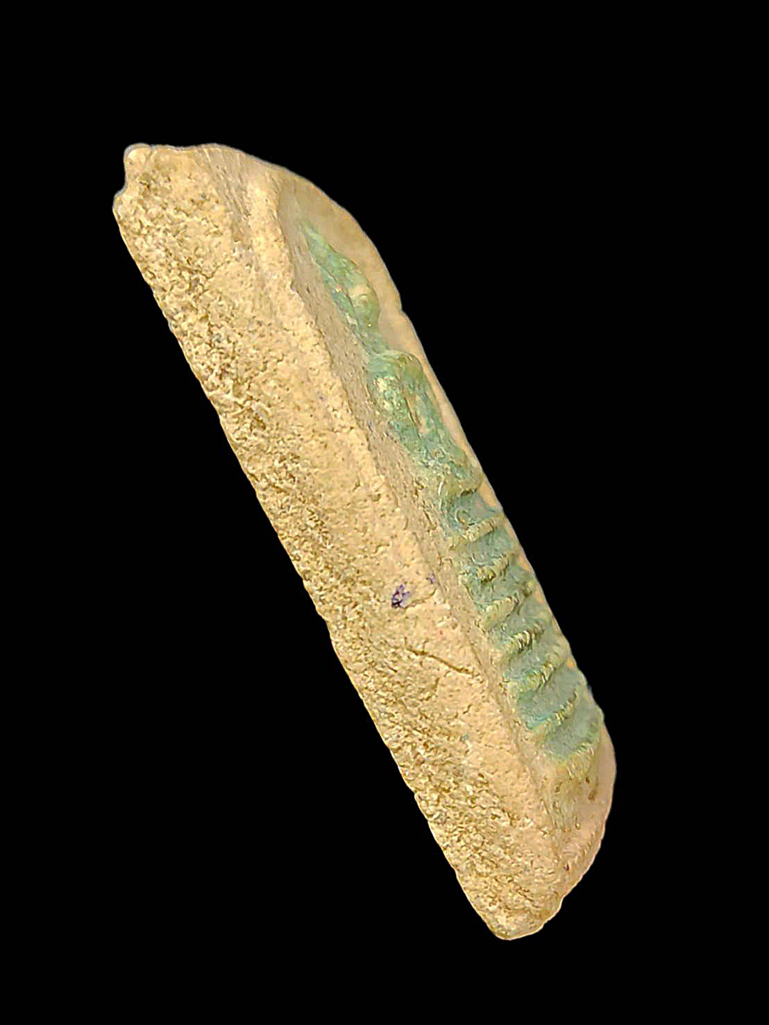 พระเนื้อผงกระดูกผี พิมพ์สมเด็จ (พิมพ์7ชั้น) หลวงพ่อพุ่ม วัดโคกสวาย จ.โคราช ปี 2473