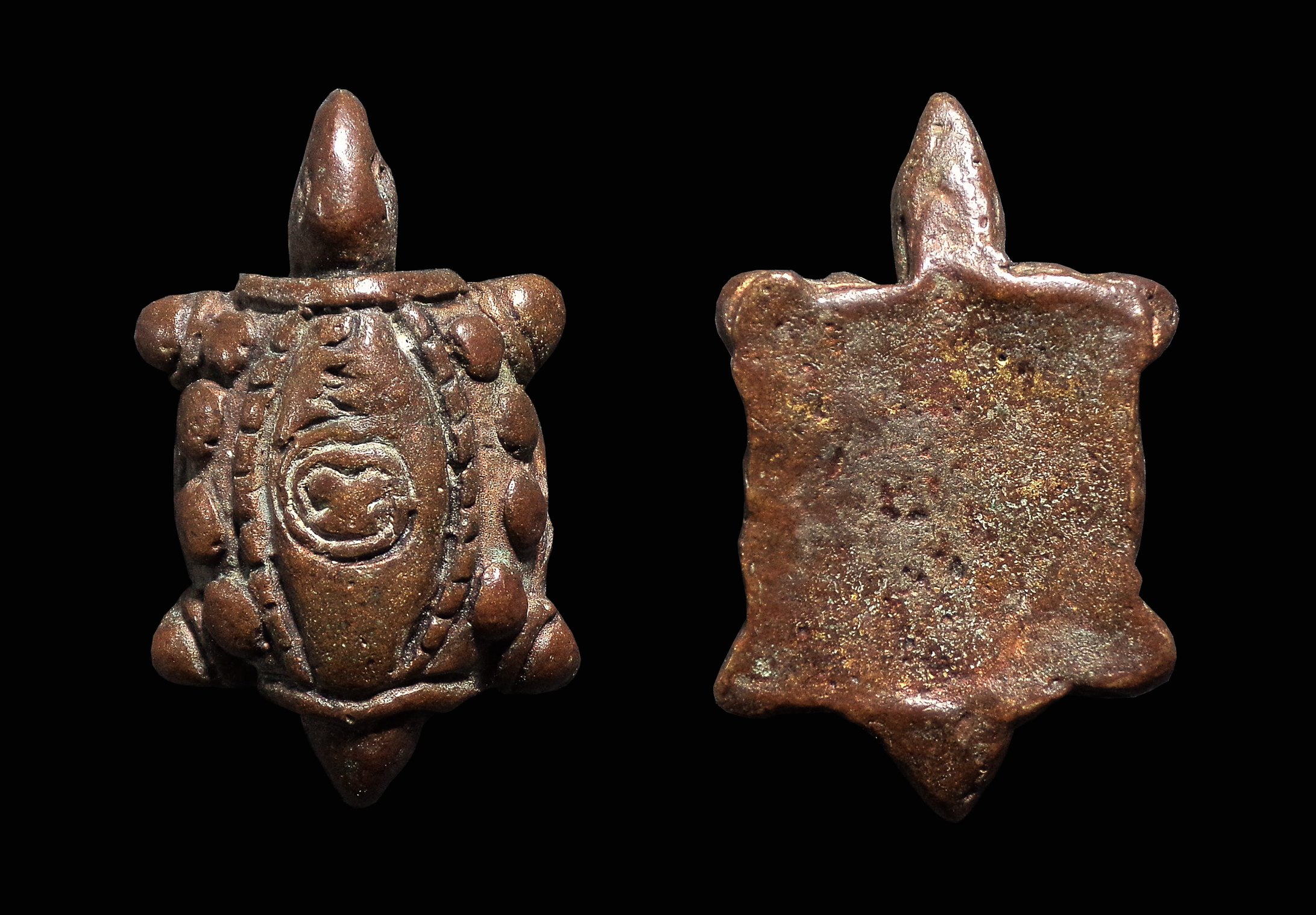 พญาเต่าเรือน เนื้อทองแดง ไม่ทราบที่