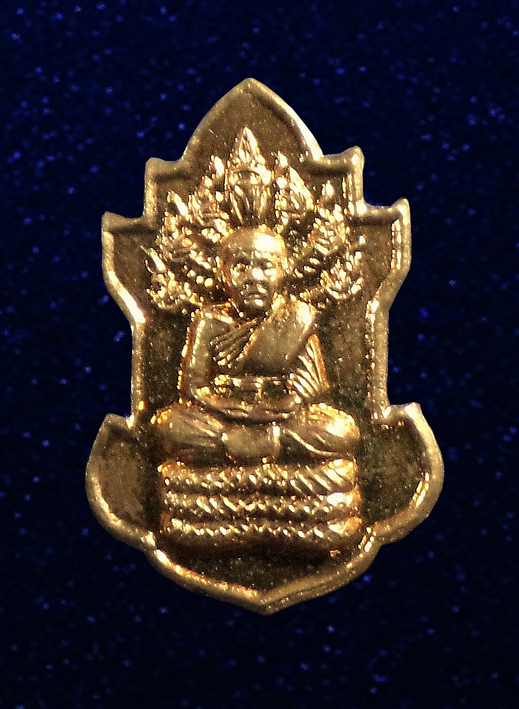 เหรียญปรกใบมะขาม หลวงพ่อนาถ วัดห้วยนาคราช จ.กาญจนบุรี ปี 2547