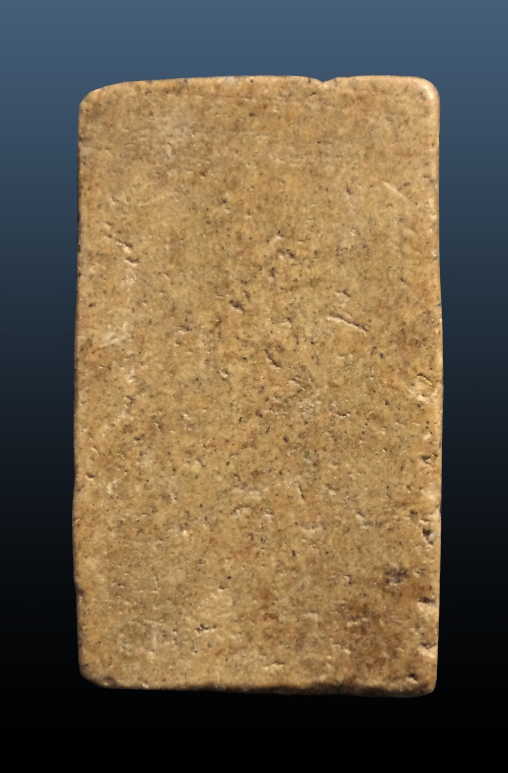 พระสมเด็จ ปรกโพธิ์