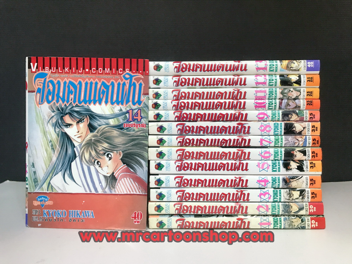 จอมคนแดนฝัน 1-14 จบ