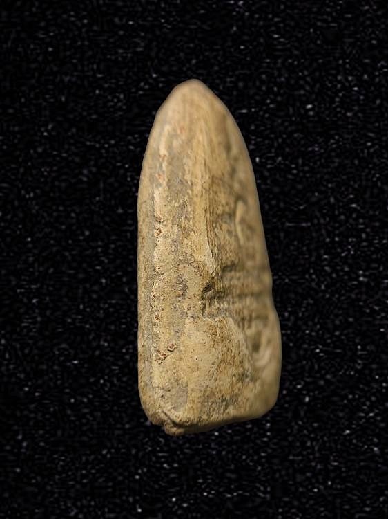 พระผงรูปเหมือน ครูบาพรหมมา พรหมจักรโก วัดพระพุทธบาทตากผ้า ลำพูน