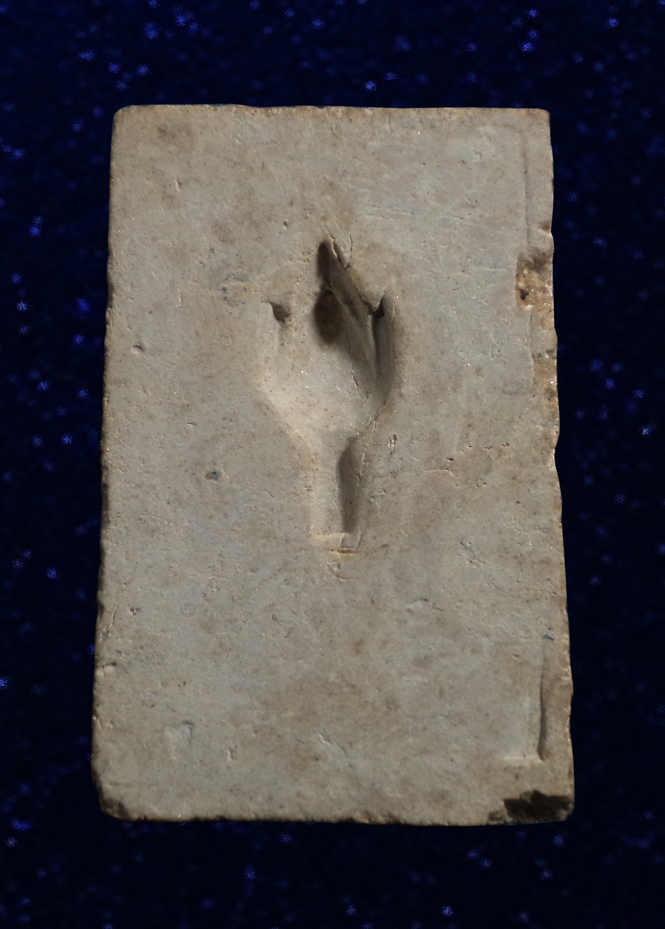 พระเทริดขนนก เนื้อผง หลวงพ่อผิว เกสโล วัดคลองสายบัว จ.ลพบุรี