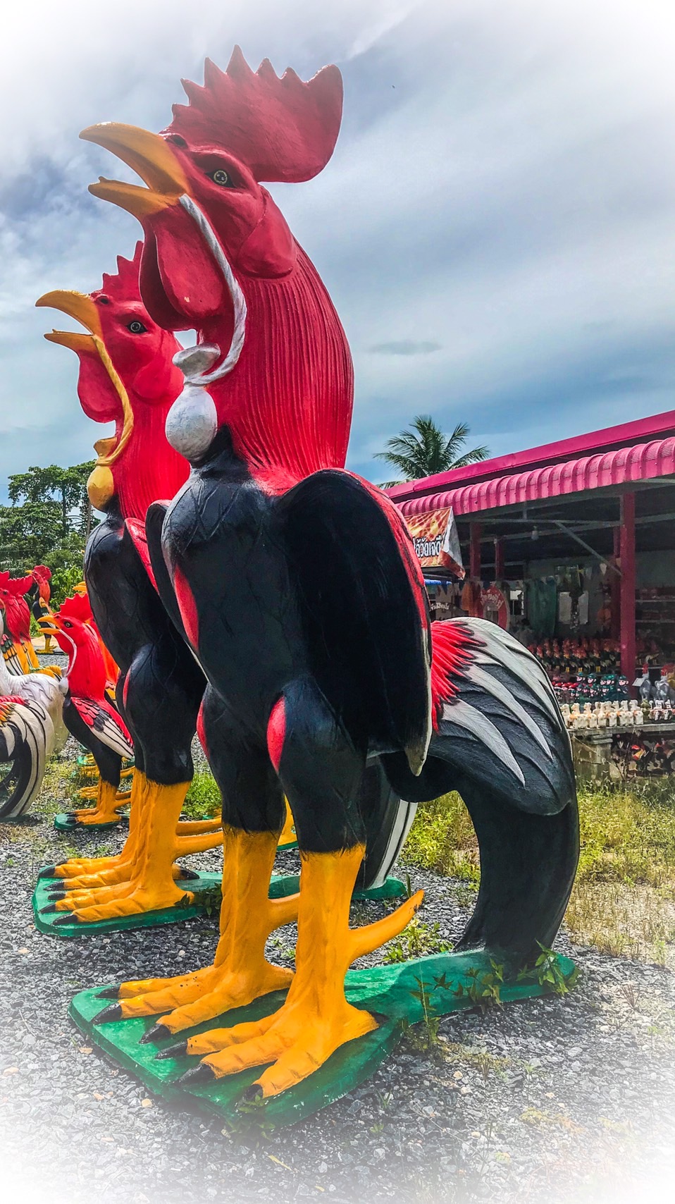 ไก่ปูนปั้นถวายแก้บน-ขอพรตาไข่วัดเจดีย์ ขนาด3.5 เมตร