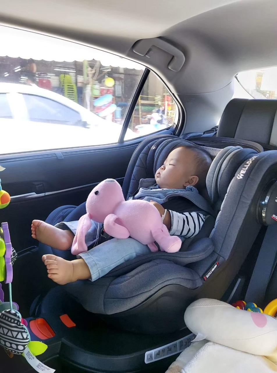 Welldon คาร์ซีท รุ่น COCOON LOVE (แรกเกิด - 4 ปี)