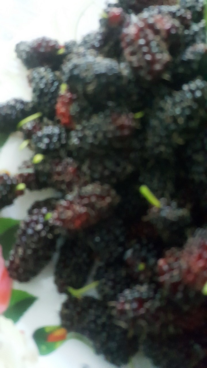 น้ำผลไม้ไบรท์เบอร์รี่(Bright Berry Juice)