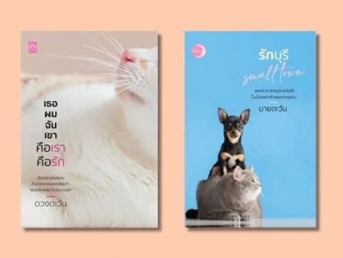 เธอผมฉันเขาคือเราคือรัก และ รักบุรี Small Town รวม 2 เล่ม / นายตะวัน (หนังสือทำมือ ใหม่)