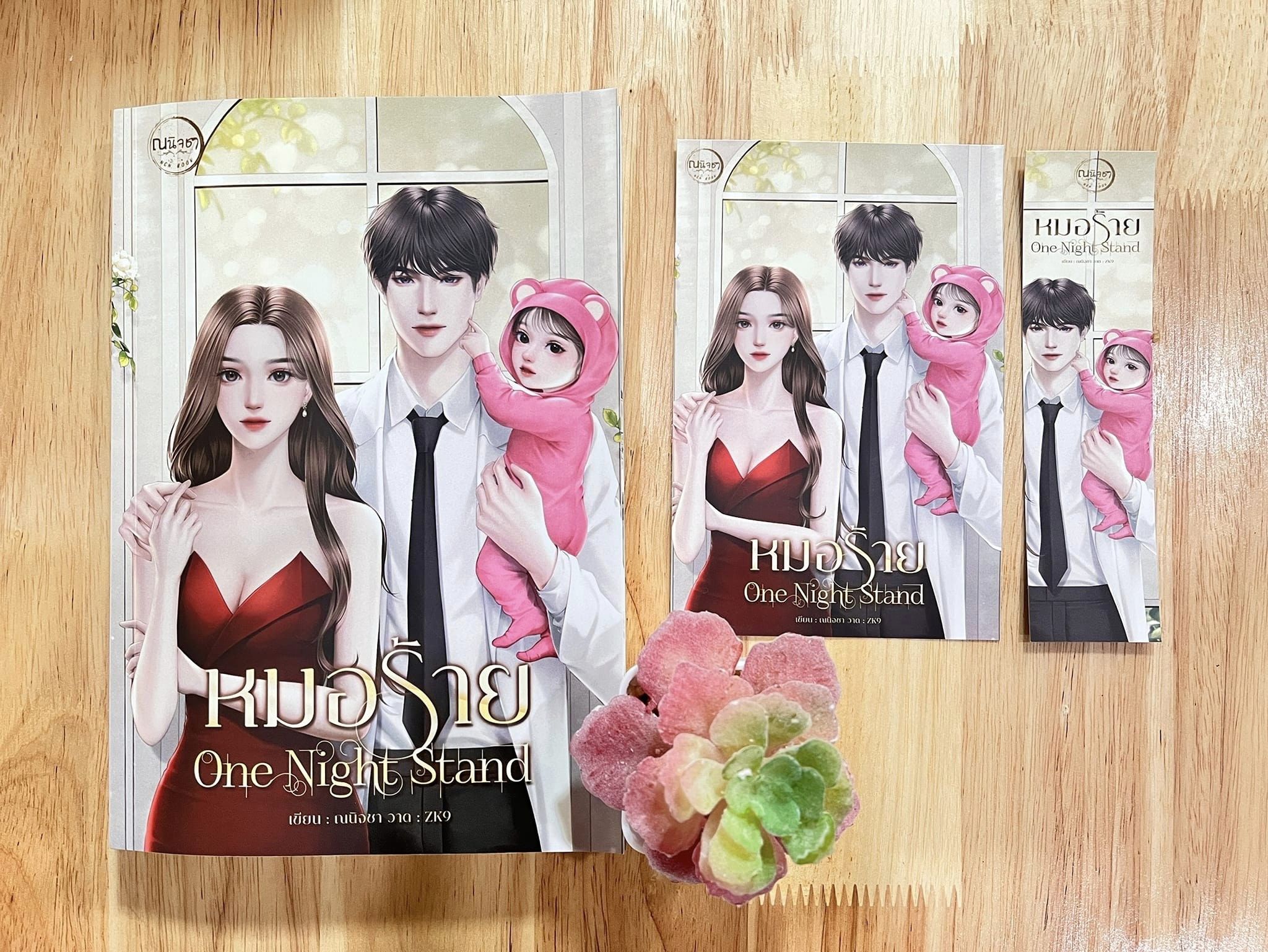 หมอร้าย One Night Stand / ณนิจชา (หนังสือทำมือ ใหม่ แถมฟรีปกพลาสติกใส)