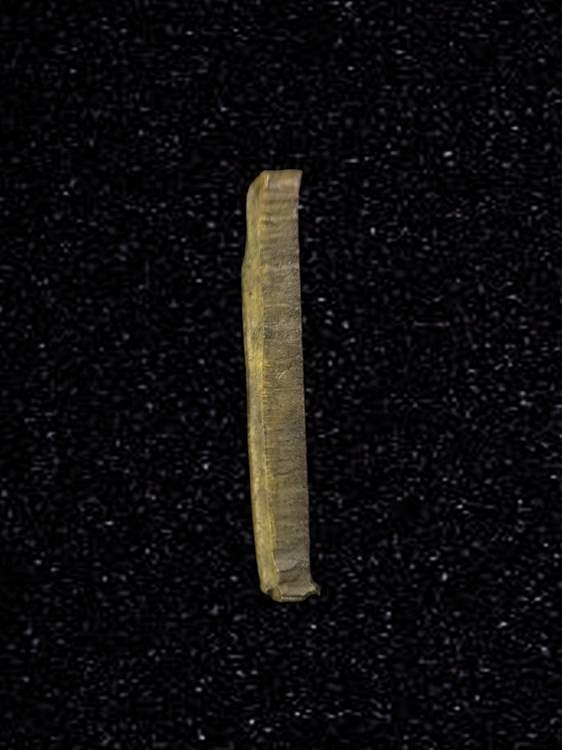 เหรียญหล่อปั้ม ระฆังหลังฆ้อน หลวงพ่อเริ่ม วัดต้นสน จ.ชลบุรี ปี 2506 เนื้อทองเหลือง