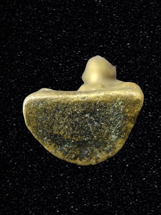 รูปหล่อ พระเกจิ อุ้มบาตร ไม่ทราบรุ่นปี