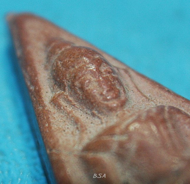 พระนางพญา วัดบ่อทอง ระยอง