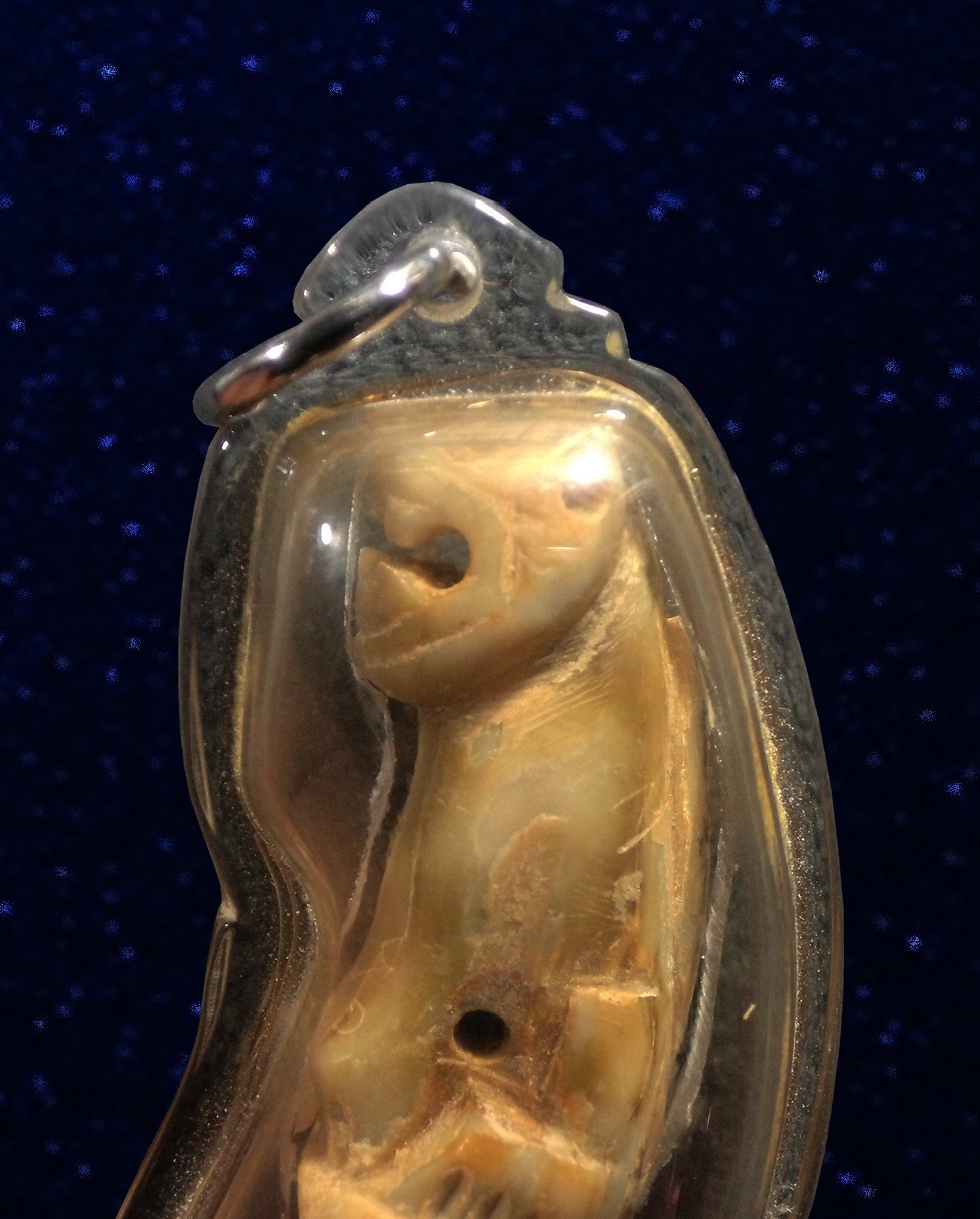 เขี้ยวเสือ หลวงพ่อเปิ่น วัดบางพระ นครปฐม