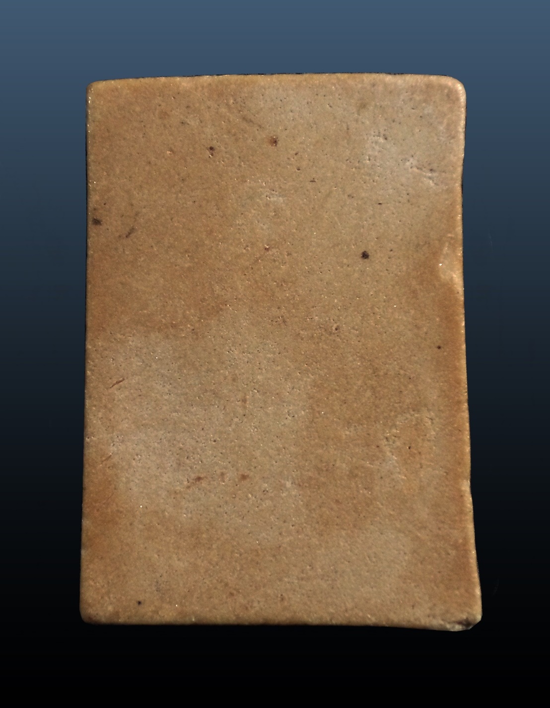 พระนาคปรก เนื้อผงน้ำมัน