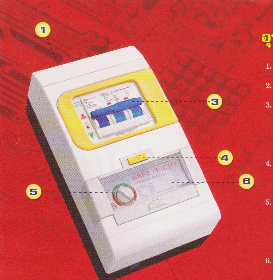 เซฟทีคัท 2P-100A
