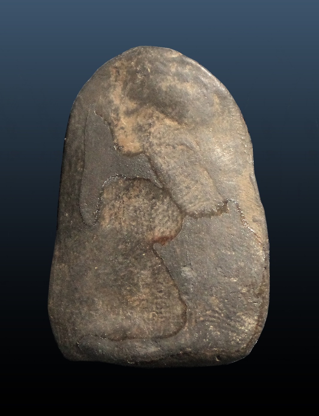 พิมพ์พระเปิม เนื้อดำ หลวงปู่ภู วัดท่าฬ่อ จ.พิจิตร