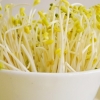รักษาความสดของถั่วงอกด้วย เครื่องซีลสูญญากาศ