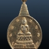 เหรียญพระชัยหลังช้าง หลัง ภปร ปี2530