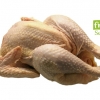 ทำไก่พะโล้บรรจุด้วย เครื่องซีลสูญญากาศ แช่แข็งขายกันดีไหม