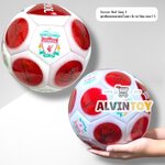 ลูกฟุตบอลหนังลายสโมสรลิเวอร์พูล